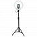 Кольцевая лампа диаметром 30 см со штативом высотой 60-200 см Baseus Live Stream черная