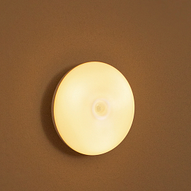 Лампа-ночник настенная с датчиком движения Baseus Light Garden