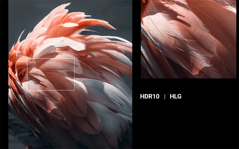 Screenshot_2.png