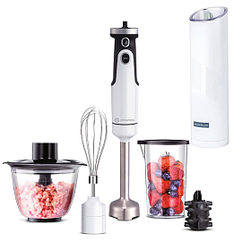 Погружной блендер Evolution HBS-0651 (белый)