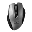 Мышь беспроводная Canyon CNS-CMSW7 серо-черная