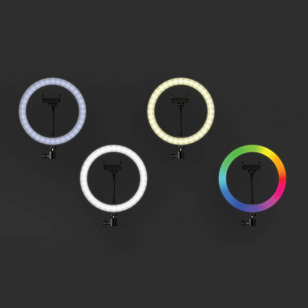 Кольцевая лампа диаметром 26 см со штативом высотой 8-30 см Ritmix RRL-263 черная