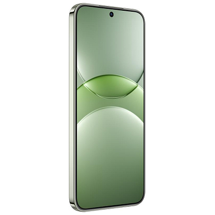 Смартфон Huawei Nova 13 12Gb/512Gb дымчатый зеленый