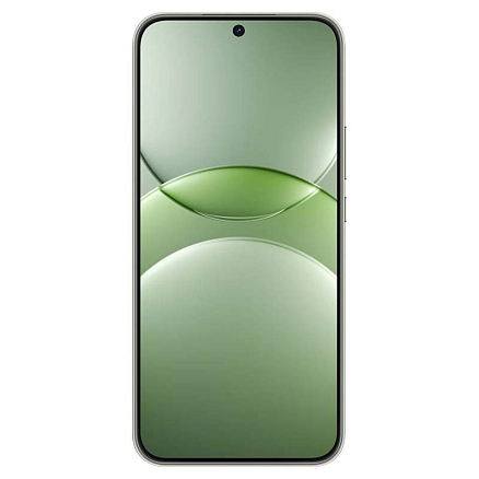 Смартфон Huawei nova 13 BLK-LX9 12GB/256GB (дымчатый зеленый)