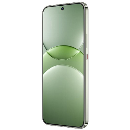Смартфон Huawei Nova 13 12Gb/512Gb дымчатый зеленый