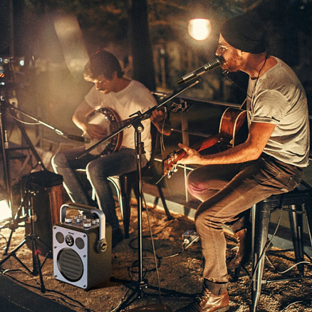 Беспроводная колонка Wekome Beluga D7