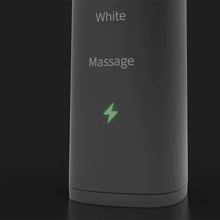 Зубная щетка электрическая Aeno DB4 черная с дорожным футляром