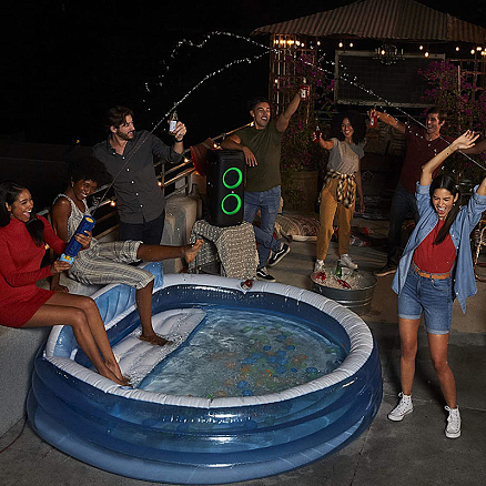 Портативная колонка JBL PartyBox 310 для вечеринок черная