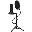 Микрофон для стрима с поп-фильтром Lorgar Voicer 721 черный