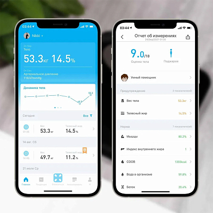 Умные весы Picooc Mini Lite (Bluetooth) размер 26x26 черные