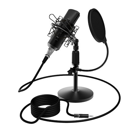 Микрофон для стрима Ritmix RDM-175 черный
