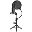 Микрофон для стрима с поп-фильтром Lorgar Voicer 721 черный