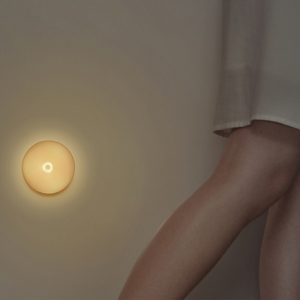 Лампа-ночник настенная с датчиком движения Baseus Light Garden