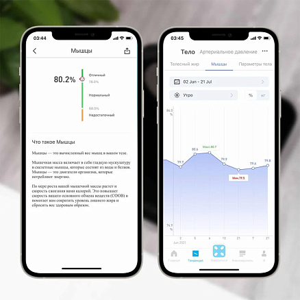 Умные весы Picooc Mini Lite (Bluetooth) размер 26x26 черные