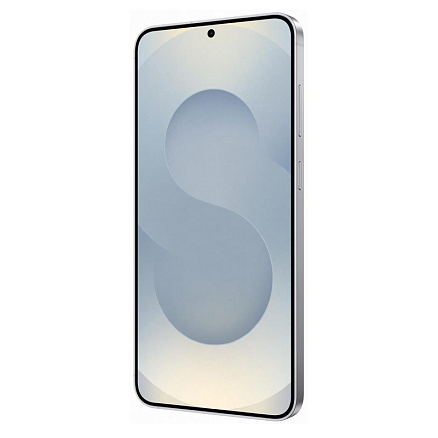 Смартфон Samsung Galaxy S25 SM-S931B 12GB/256GB (серый)