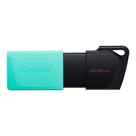 Флешка Kingston DataTraveler Exodia M 256GB USB 3.2 Gen 1 черно-мятная