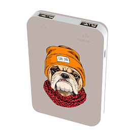 Внешний аккумулятор Ritmix RPB-10007 Bulldog 10000мАч (USB x 2, microUSB, ток 2.1А) бежевый