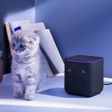 Умная колонка Яндекс Станция Миди (черный)