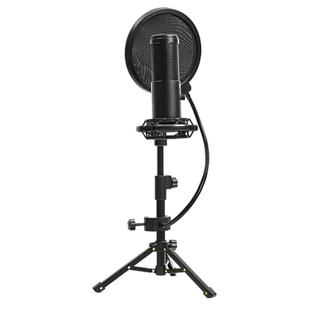 Микрофон для стрима с поп-фильтром Lorgar Voicer 721 черный