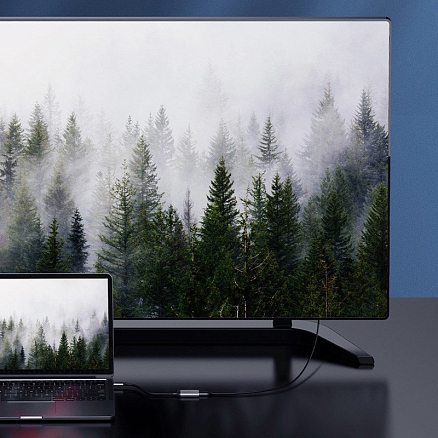 Переходник Type-C - VGA, Type-C PD Baseus Enjoyment серый