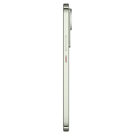Смартфон Huawei Nova 13 12Gb/512Gb дымчатый зеленый