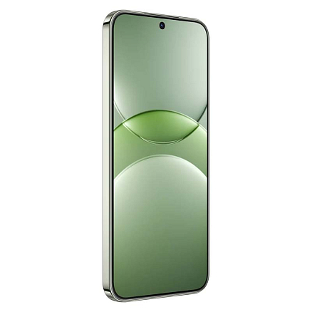 Смартфон Huawei Nova 13 12Gb/256Gb дымчатый зеленый
