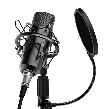 Микрофон для стрима Ritmix RDM-175 черный
