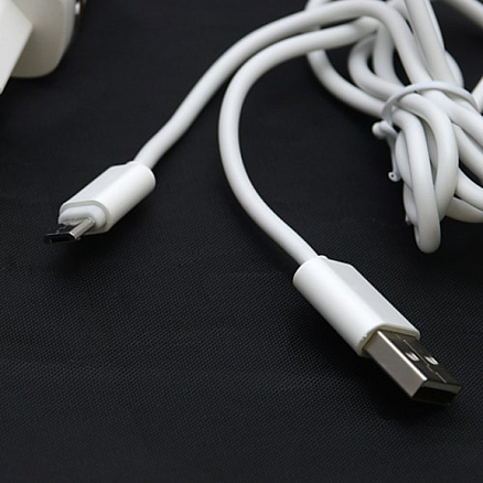 Зарядное устройство сетевое с двумя USB входами 2.4А и MicroUSB кабелем Ldnio DL-AC52 белое