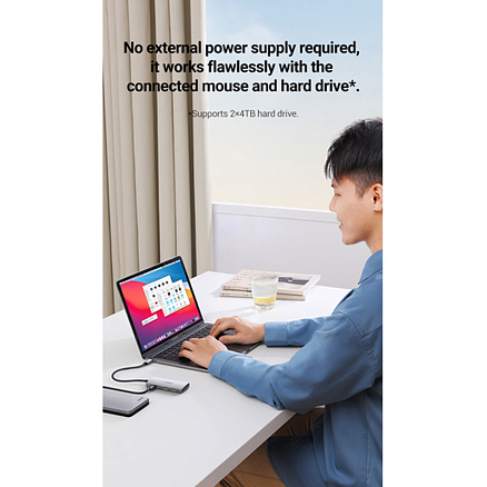 Хаб (разветвитель) Type-C - 2 х USB 3.1, 2 x Type-C Ugreen CM480-30758 серый