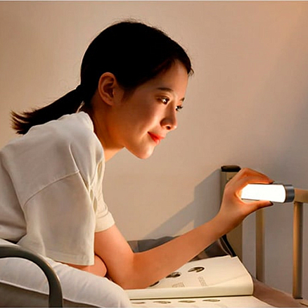 Светильник-ночник магнитный Baseus Magnetic Stepless Dimming темно-серый