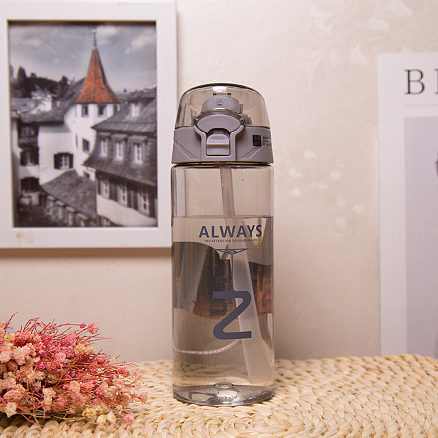 Бутылка для воды спортивная Trendy&Sports M 550 мл серая