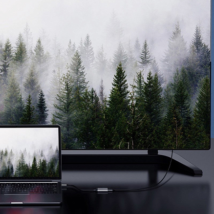 Переходник Type-C - Mini DisplayPort, Type-C PD Baseus Enjoyment серый