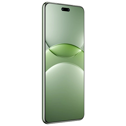 Смартфон Huawei Nova 13 Pro 12Gb/512Gb дымчатый зеленый