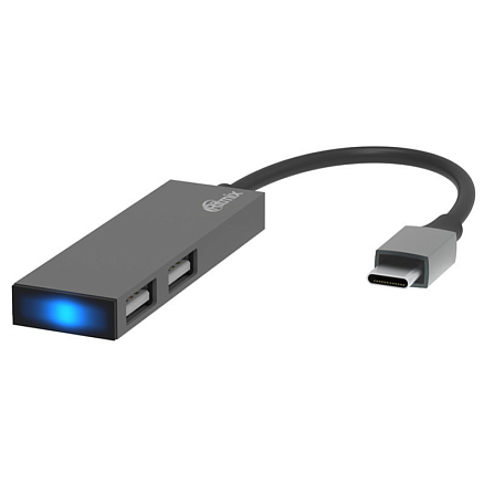 Переходник Type-C - 2 х USB 2.0 Ritmix CR-4201 серый