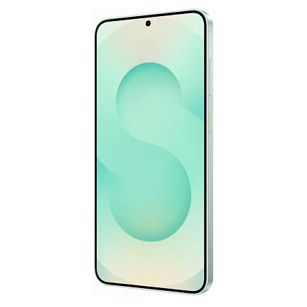 Телефон Samsung Galaxy S25 SM-S931B 12GB/256GB (мятный)