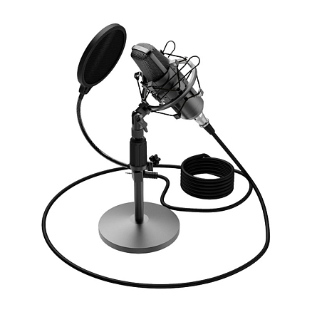 Микрофон для стрима Ritmix RDM-175 черный