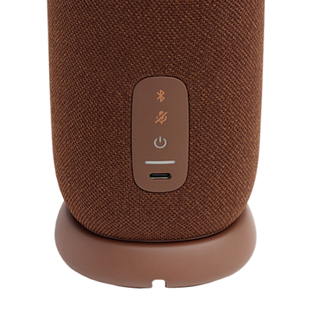 Умная колонка JBL Link Portable с Алисой коричневая