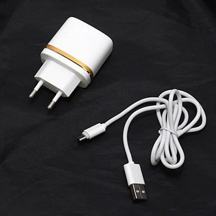 Зарядное устройство сетевое с двумя USB входами 2.4А и MicroUSB кабелем Ldnio DL-AC52 белое