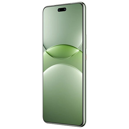 Смартфон Huawei Nova 13 Pro 12Gb/512Gb дымчатый зеленый
