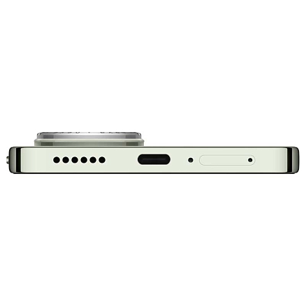 Смартфон Huawei Nova 13 12Gb/256Gb дымчатый зеленый