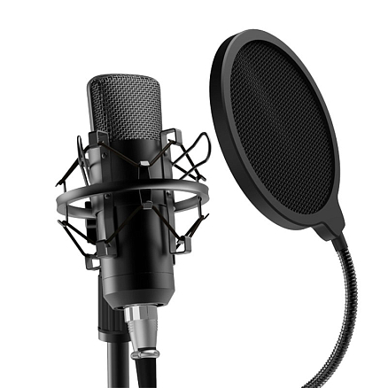 Микрофон для стрима Ritmix RDM-175 черный