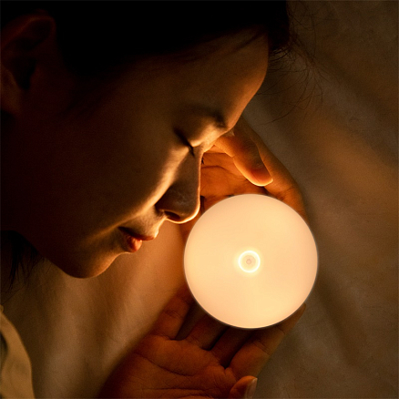 Лампа-ночник настенная с датчиком движения Baseus Light Garden