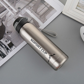 Бутылка для воды спортивная с трубочкой Sporty 500 мл серебристая