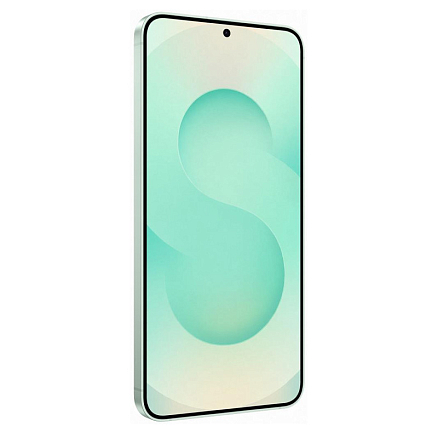 Телефон Samsung Galaxy S25 SM-S931B 12GB/256GB (мятный)