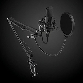 Микрофон для стрима на стойке-пантографе Ritmix RDM-180 черный