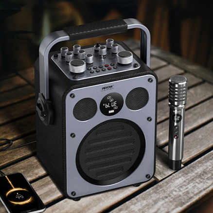 Беспроводная колонка Wekome Beluga D7