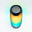 Портативная колонка JBL Pulse 4 с разноцветной подсветкой и с защитой от воды черная