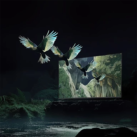 MiniLED телевизор Xiaomi TV S Mini LED 55" 2025 (международная версия)