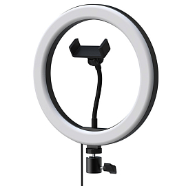 Кольцевая лампа диаметром 26 см Ritmix RRL-260 черная