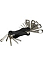 icons_14292629634529f985441a035ae4a107b8862ba4dd.jpg